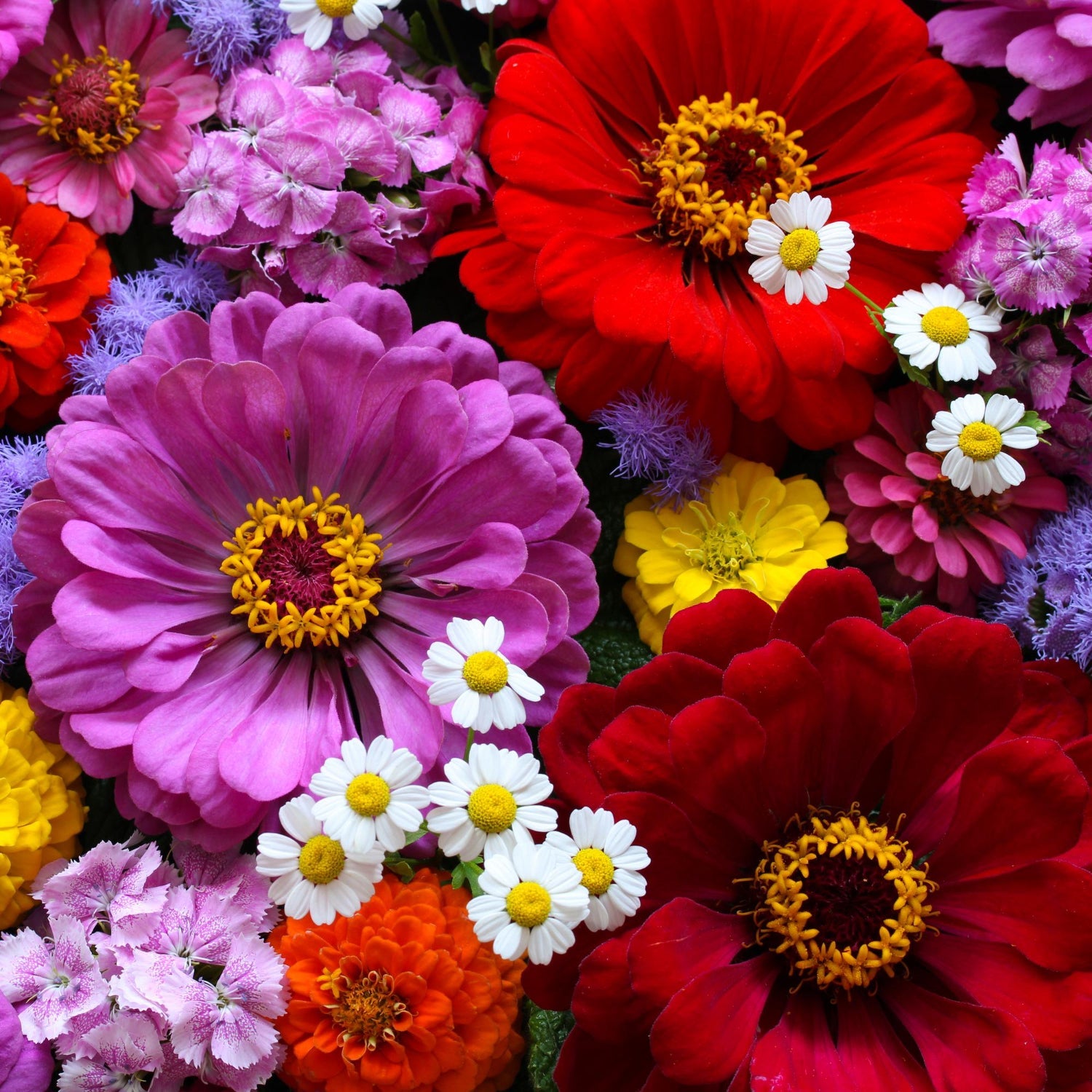 Floral